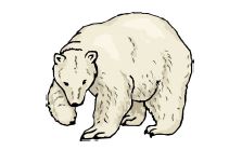 THS Drama Club Presents: A Polar Bear in New Jersey