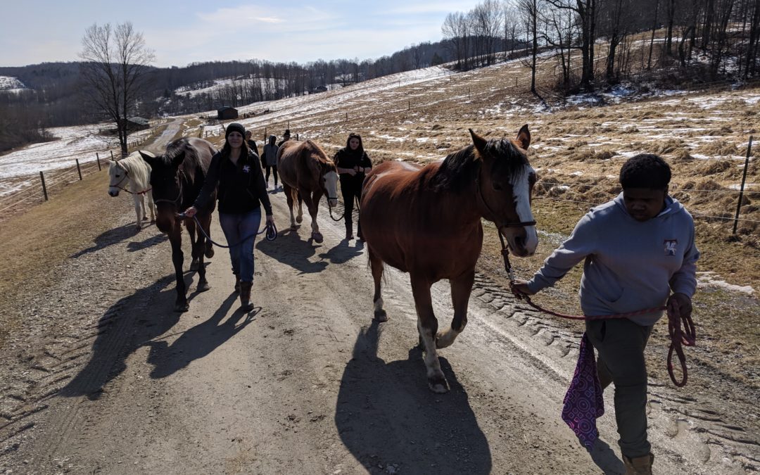 Horse therapy program teaches confidence, responsibility